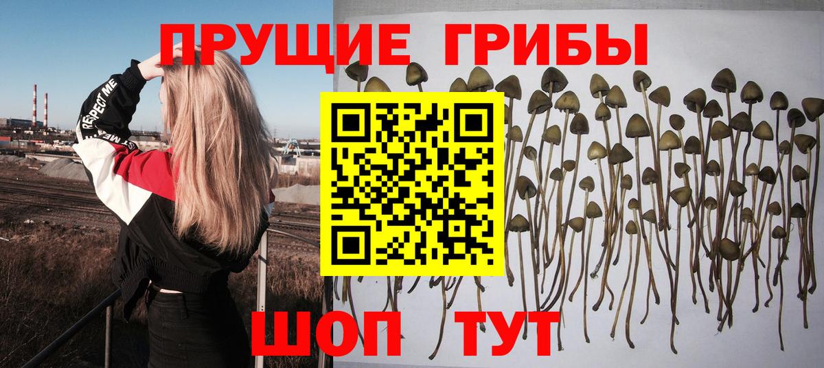 Псилоцибиновые грибы MAGIC MUSHROOMS Ивантеевка