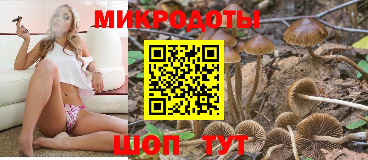 Галлюциногенные грибы мицелий  Галлюциногенные грибы GOLDEN TEACHER  Вход с VPN  Ивантеевка 